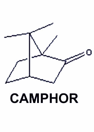 Camphor